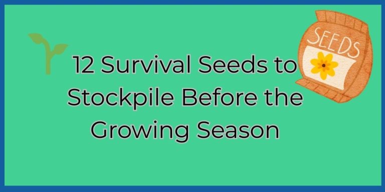 12 Survival Seeds to Stockpile Before the Growing Season